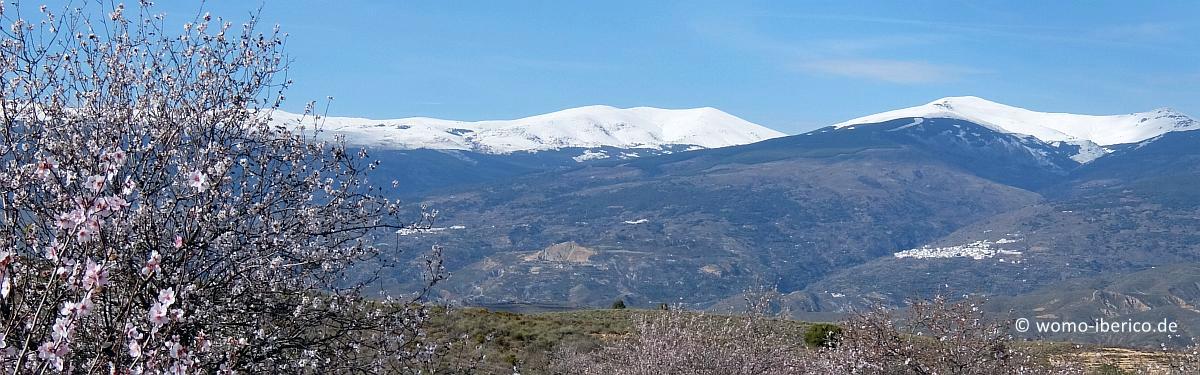 Sierra Nevada Titel Ende2025