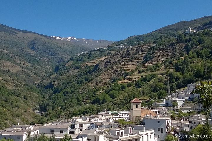 SierraNevada 1