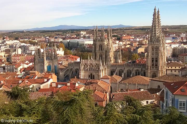 Burgos 1