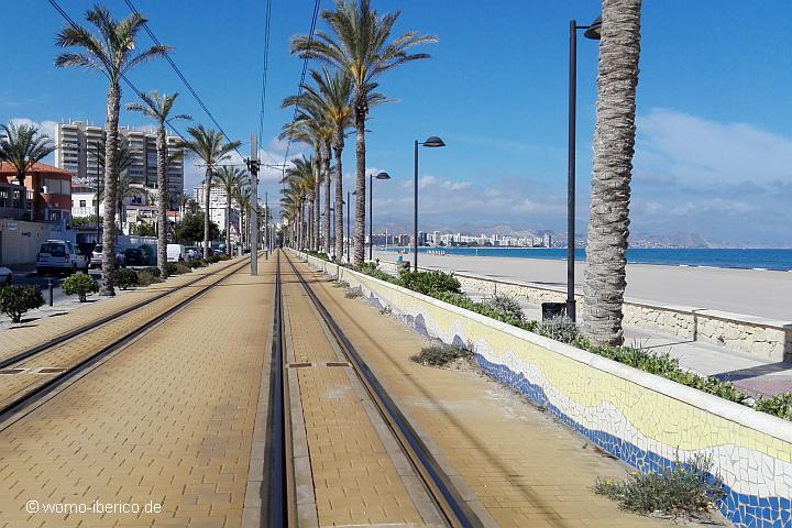 ElCampello 1