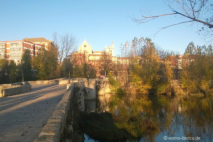 Palencia 3