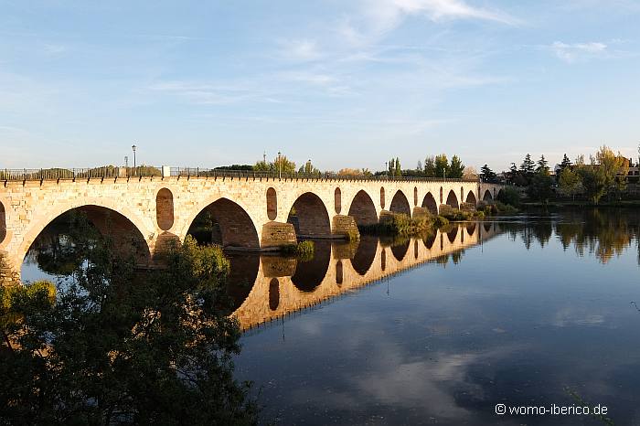 161027 Zamora Puente