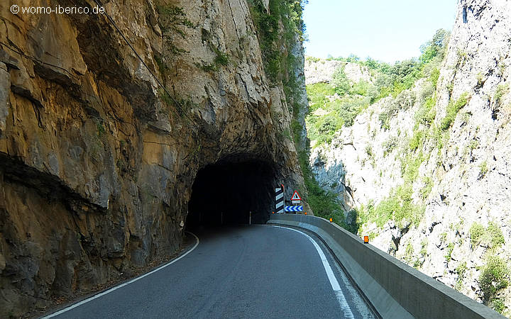 20180824 Tunnel