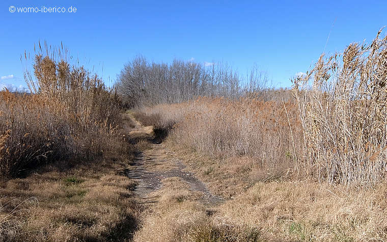 20190127 Nules Alqueria Natur