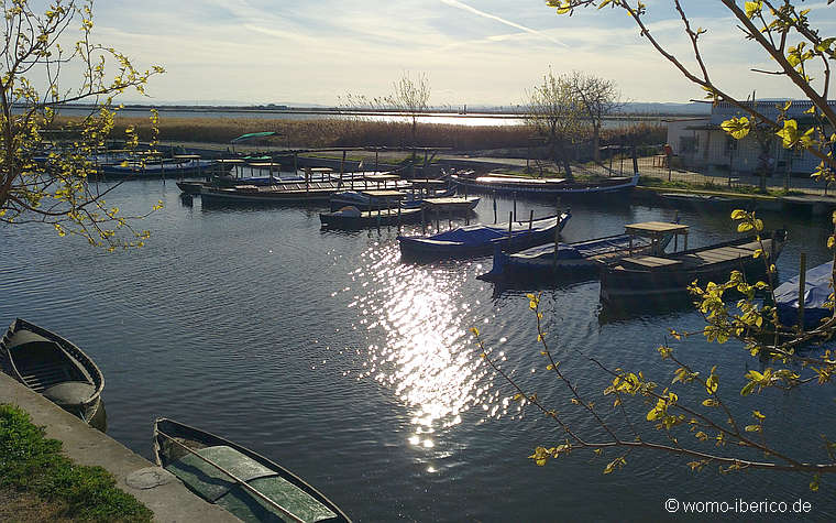 20190130 ElSaler Albufera