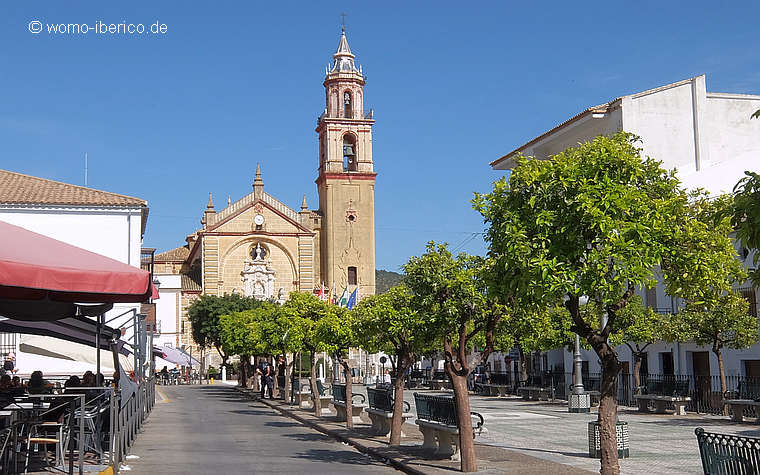 20190326 Algodonales Plaza