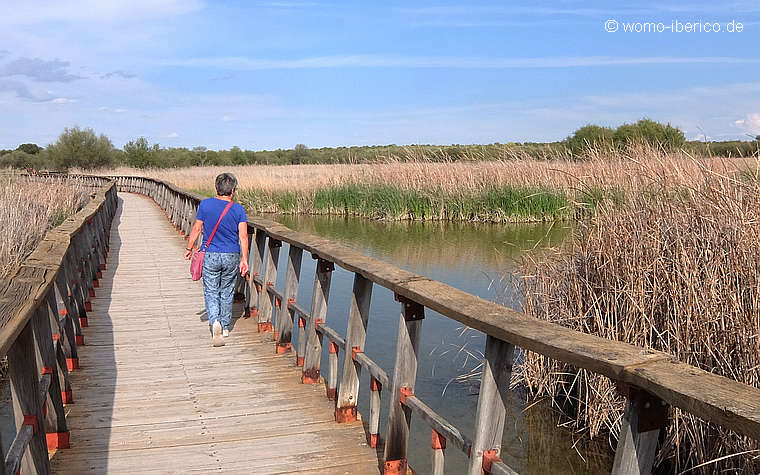 20190429 Tablas StegWasser