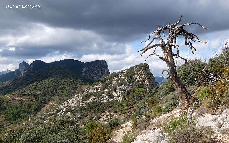 20191019 Ruta SantaFe Wolken