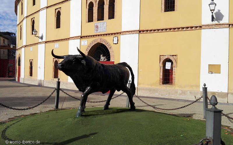 20191028 Calatayud Toro