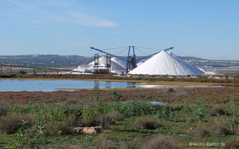 20191127 Torrevieja Saline