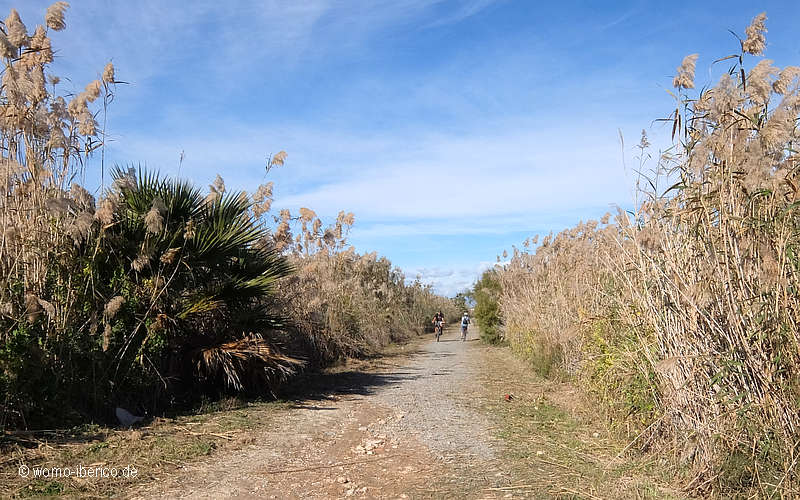 20191127 Torrevieja VV2