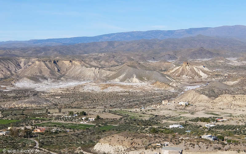 20200117 Tabernas Desierto