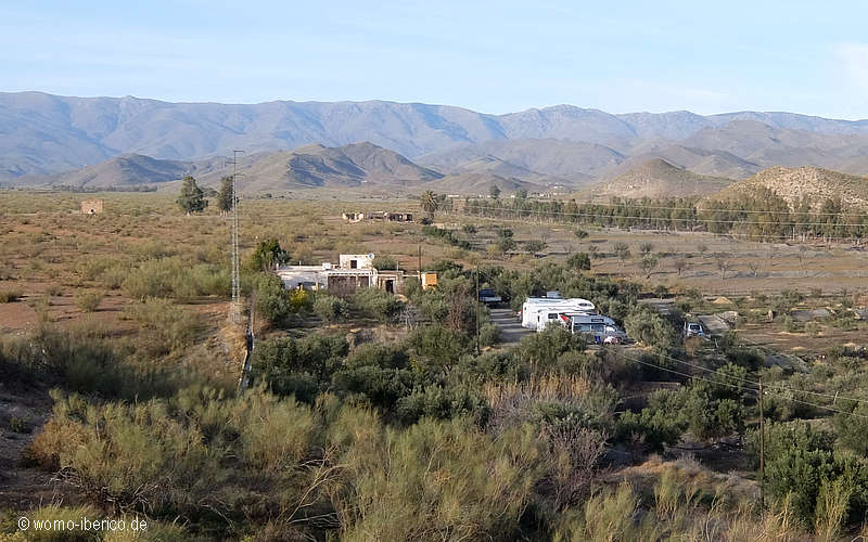 20200117 Tabernas Stp fern