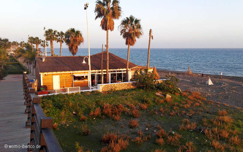 20200209 Algarrobo BaoBab