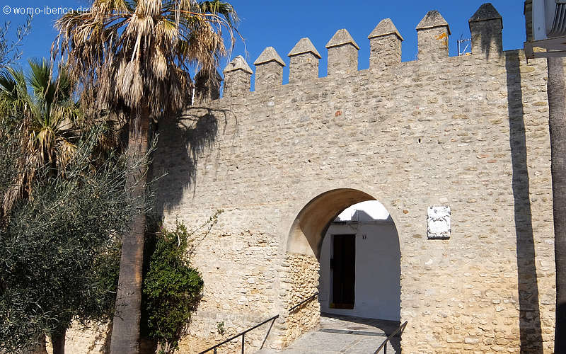 20200221 Vejer Mauer