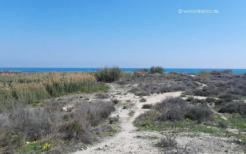 20210325 ElCampello Wanderung