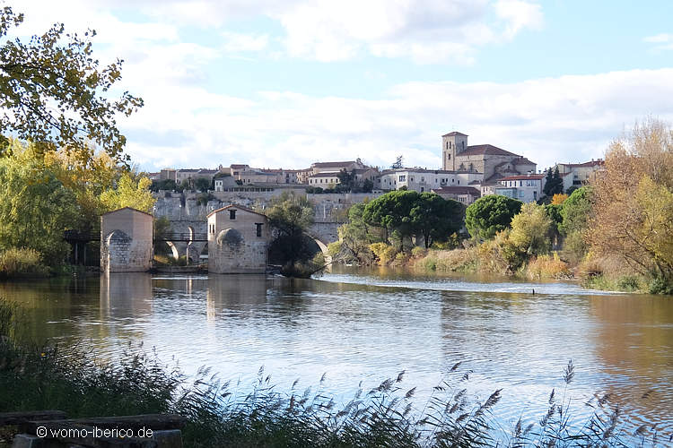 20211104 Zamora Duero