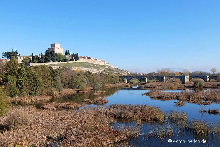 20211113 CiudadRodrigo Fluss