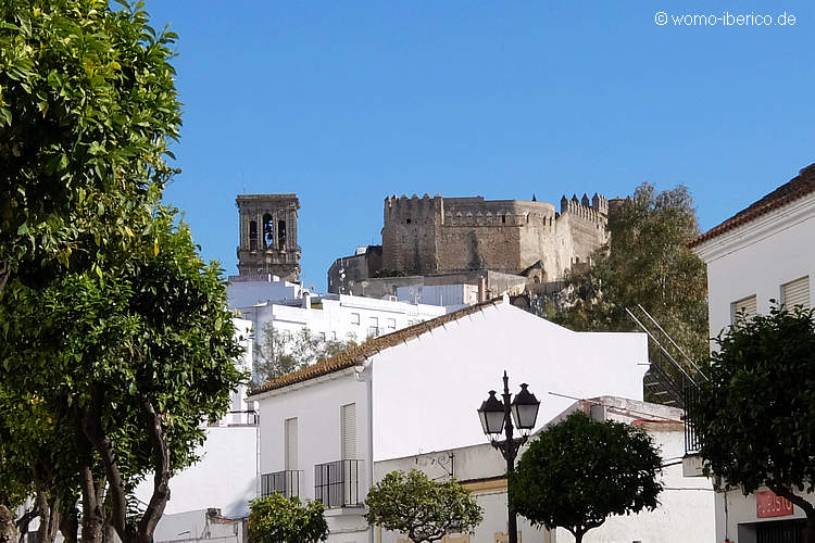 20220207 Arcos Castillo