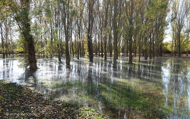 20221113 Zaragoza GalachoDeJuslibol1