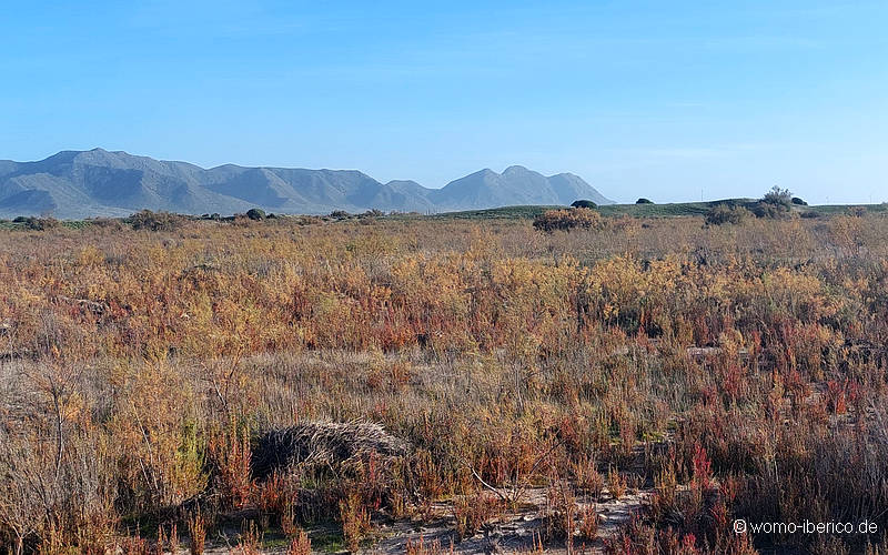 20230116 CaboDeGata Marismas