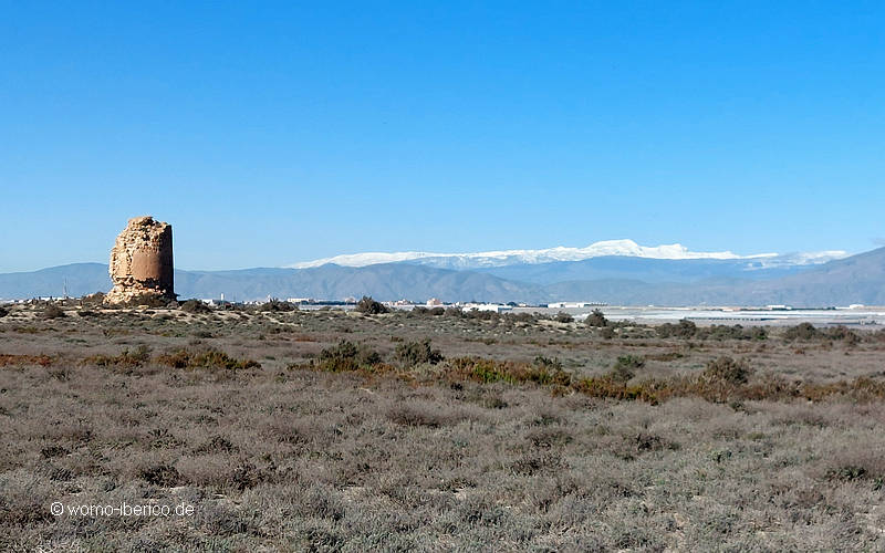 20230120 Cerrillos Torre