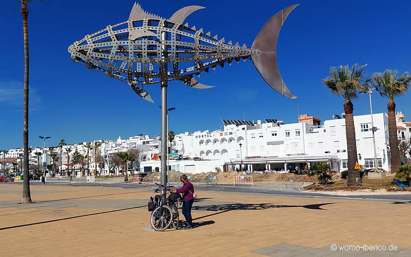 20230303 Conil Fisch