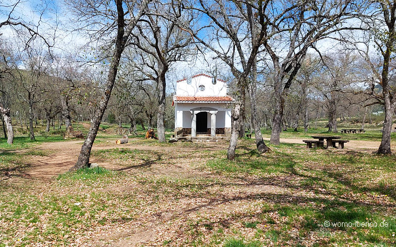 20230330 Fuencaliente SanIsidro