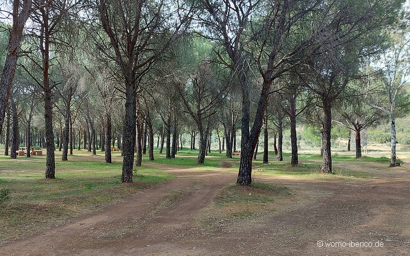 20230401 Puertollano PicknickArea