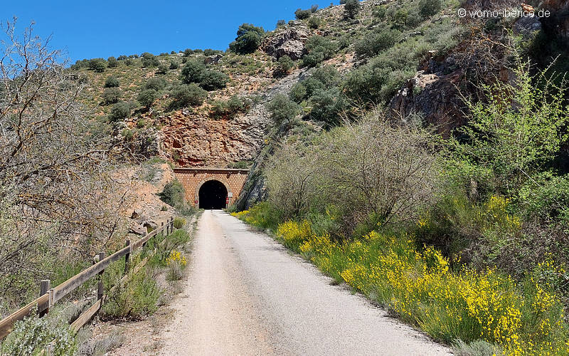 20230416 VV Tunnel bunt