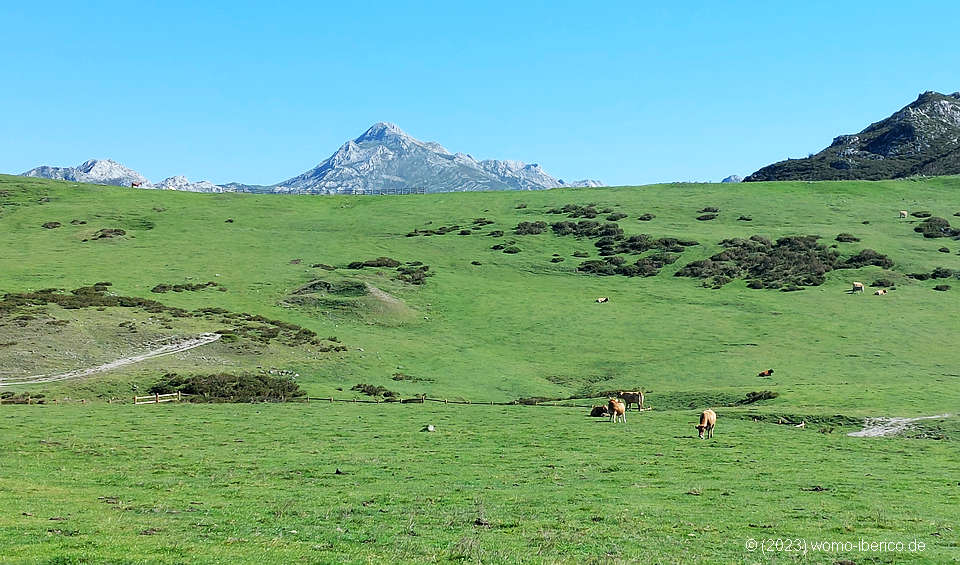 20231010 LagosDeCovadonga Alm