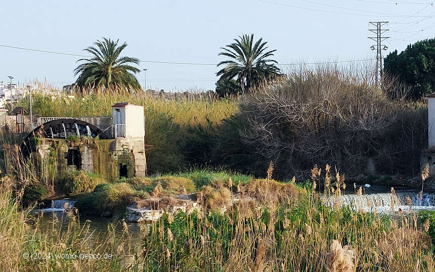 20240314 FormenteraDelSegura Noria2