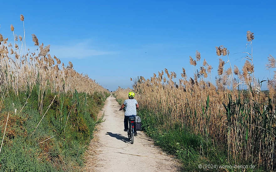 20240316 ElHondo Radweg2