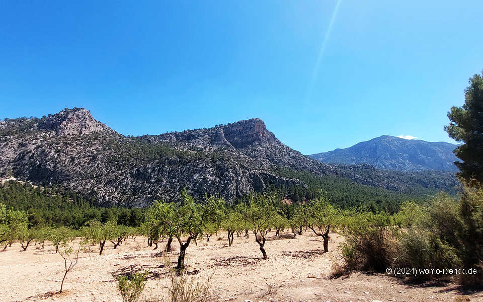 20240411 CasasNuevas SierraEspuna2