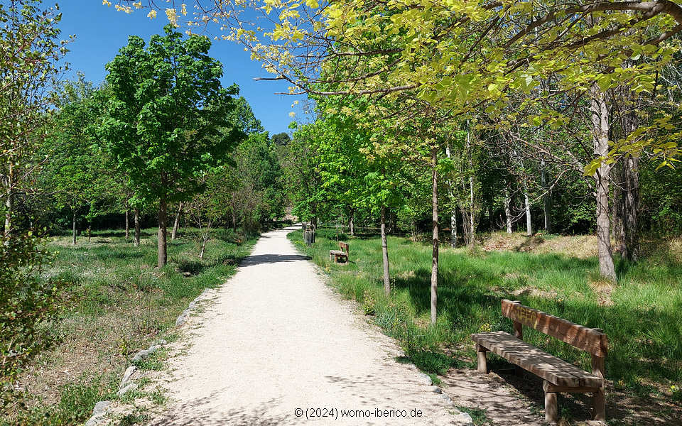 20240413 Caravaca Fuentes Park