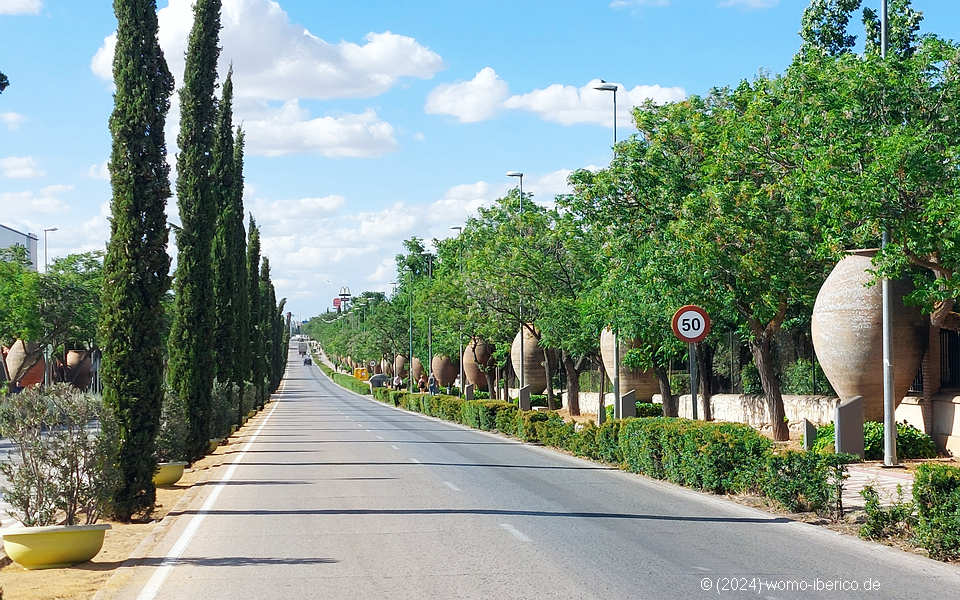 20240521 Valdepenas AvenidaVino