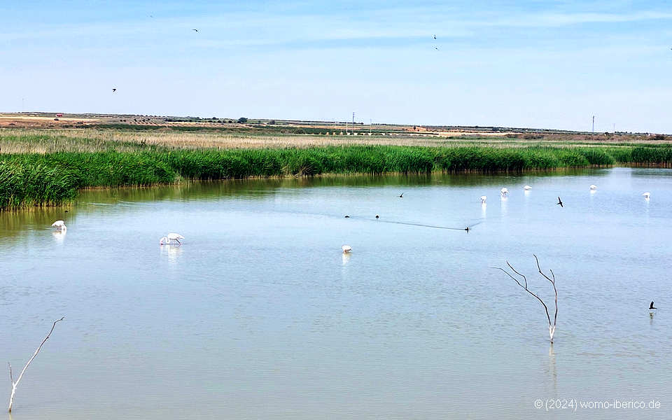 20240525 AlcazarSanJuan Lagunas 2