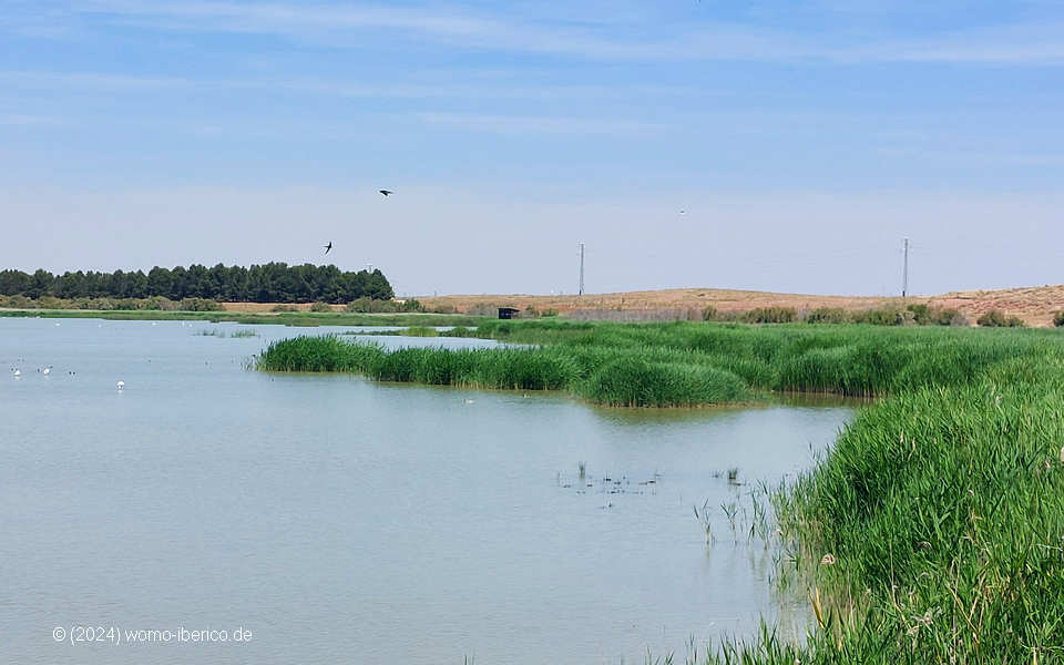 20240525 AlcazarSanJuan Lagunas 3