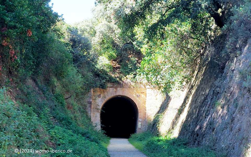 20240929 Ancin VV Tunnel