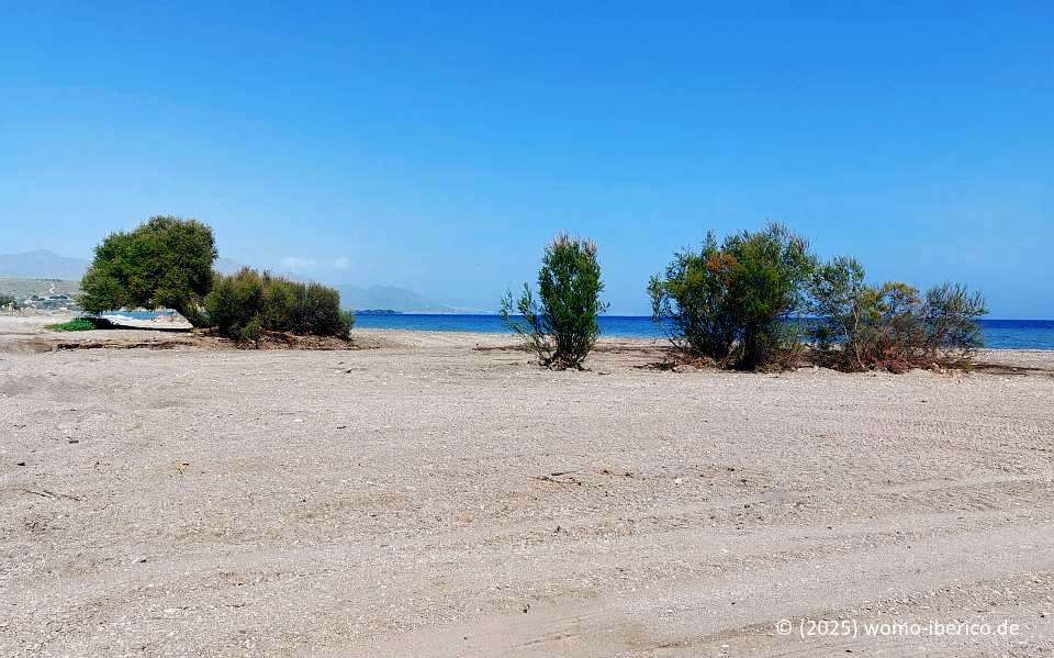 20250404 Calnegre Strand
