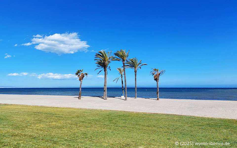 20250416 RoquetasMar Playa