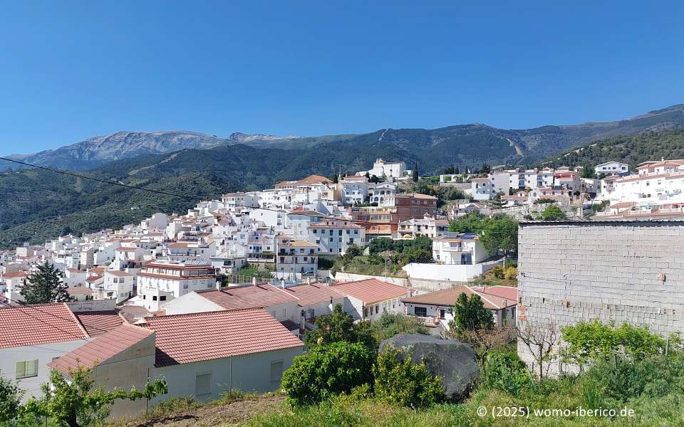 20250426 Canillas