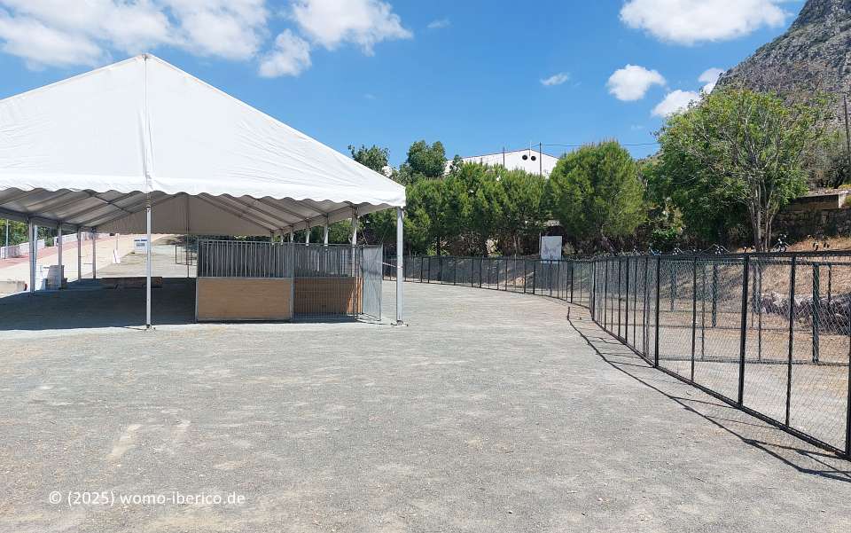 20250427 Archidona Stp Feria