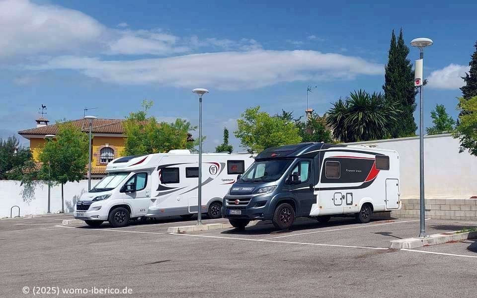 20250430 Cabra Stp