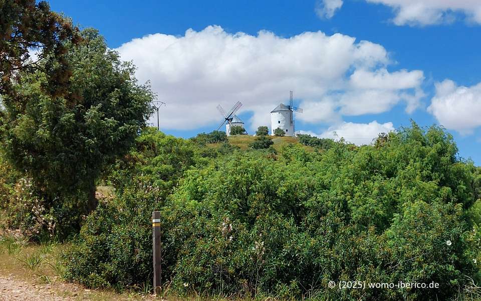 20250511 PuertoLapice Molinos1