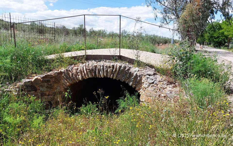 20250511 PuertoLapice Puente