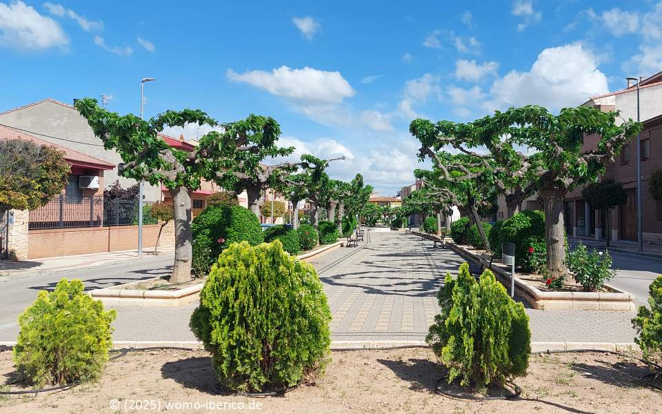 20250515 LaAlmunia Avenida