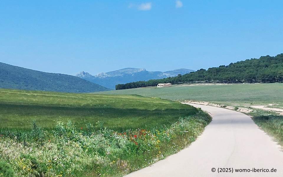20250516 Rodanas
