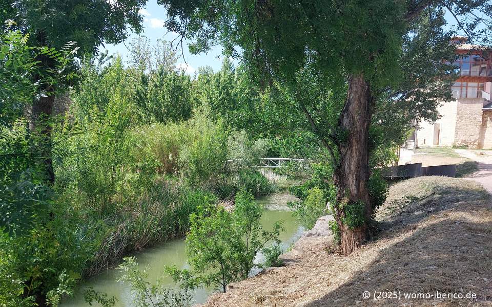 20250523 Alcaniz Park