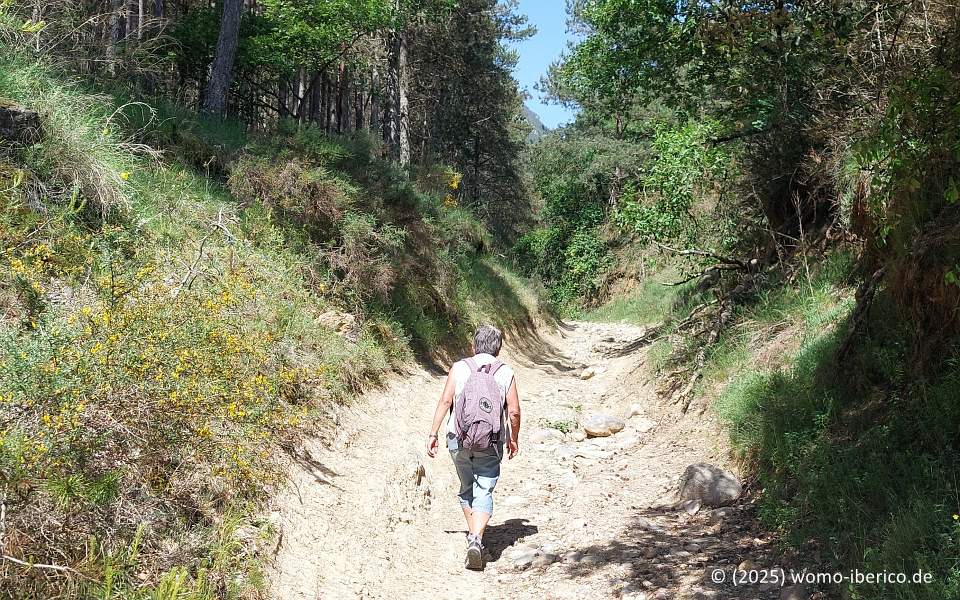 20250531 SantLlorenc Wanderung1